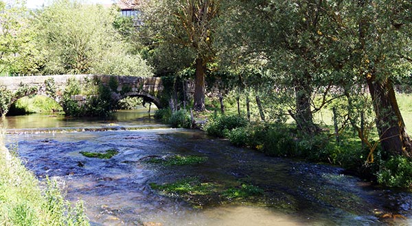 La Casa del Cura - Entorno -  Puente de Piedra
