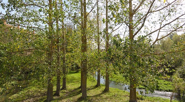 La Casa del Cura - Entorno - R�o Ebro - Vistas